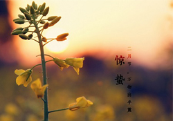 驚蟄能去廟里祈福嗎？驚蟄要去廟里祈福嗎？