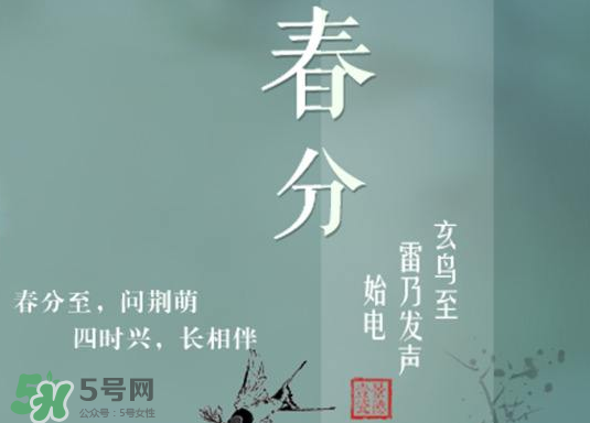 春分種什么菜？春分適合種什么菜？