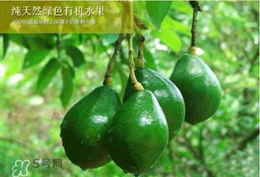 牛油果可以放多久？牛油果放冰箱能放多久？