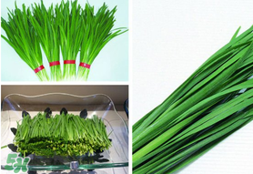 驚蟄前后可以種什么？驚蟄前后種什么蔬菜？
