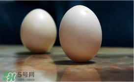春分為什么能豎蛋？春分豎蛋原理