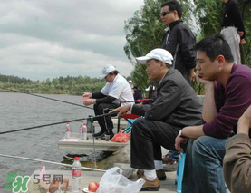 驚蟄過后好釣魚嗎？驚蟄后陰雨天好釣魚嗎？