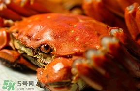 三月份吃什么螃蟹？3月份吃什么螃蟹？