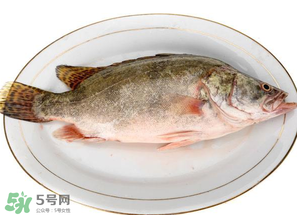 三月份吃什么魚(yú)？3月份吃什么魚(yú)好？
