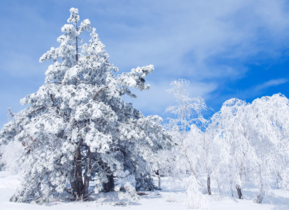 三月份還會(huì)下雪嗎？哈爾濱三月份還有雪嗎？