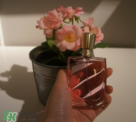 蘭蔻和迪奧香水哪個(gè)好？蘭蔻和迪奧香水推薦