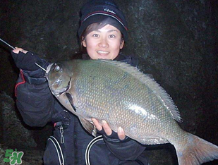 3月份釣魚(yú)用什么餌料？三月份釣魚(yú)用什么魚(yú)餌？