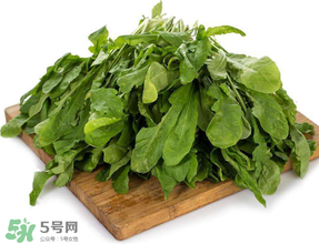 薺菜葉子黃了能吃嗎？薺菜發(fā)黃能吃嗎？