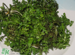 薺菜怎么洗？薺菜怎么洗才干凈？