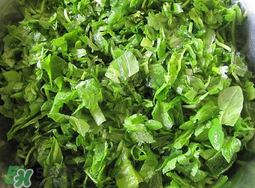 薺菜怎么洗？薺菜怎么洗才干凈？