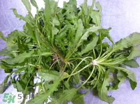 薺菜怎么保鮮？新鮮薺菜如何保鮮？