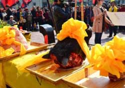 春分可以祭祀嗎？祭祀在春分前還是后？