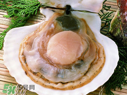 薺菜和扇貝可以一起吃嗎？薺菜扇貝湯的做法