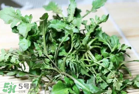 薺菜能和青菜一起吃嗎？薺菜和青菜一起吃好嗎？
