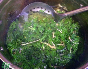薺菜怎么焯水？薺菜焯水多久？