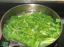 薺菜焯水后冷凍好嗎？薺菜焯水后能放多久？