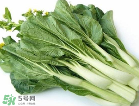 青菜苔可以吃嗎？青菜苔怎么做好吃？