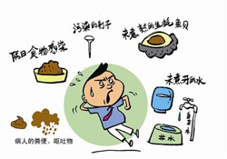 諾如病毒感染要隔離嗎？諾如病毒會(huì)傳染嗎？