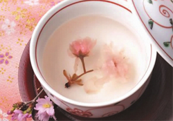 桃花酒孕婦可以喝嗎？懷孕了能喝桃花酒嗎？