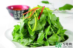 薺菜不能和什么一起吃？薺菜和什么相克？