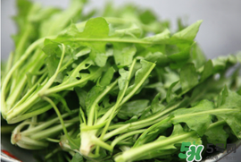 薺菜不能和什么一起吃？薺菜和什么相克？