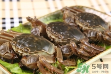一年四季都能吃螃蟹嗎？一年四季都有吃螃蟹嗎？
