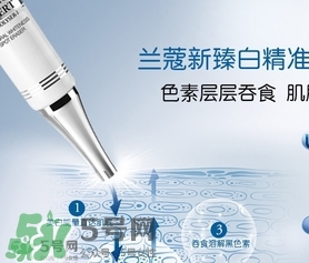 蘭蔻精華乳多少錢？蘭蔻臻白精華乳專柜價格