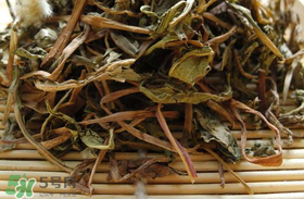 干的蒲公英多少錢一斤？蒲公英多少錢一斤干的？