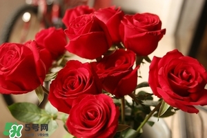 什么東西清火效果好？什么東西清火最快？