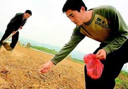 三月份可以種花生嗎？花生幾月份播種比較好？