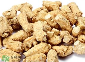 春天可以吃西洋參嗎？春天適合吃西洋參嗎？