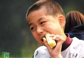 春天能吃甘蔗嗎？春天吃甘蔗有什么好處？