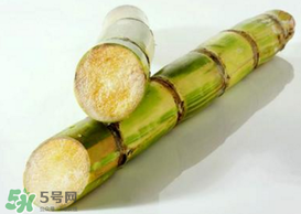 春天能吃甘蔗嗎？春天吃甘蔗有什么好處？