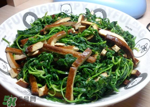 薺菜吃多了會中毒嗎？吃薺菜中毒怎么辦？