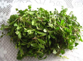 野生薺菜幾月份有？野生薺菜什么時候有？