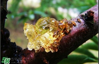 吃什么對(duì)皮膚好？怎么吃皮膚好？