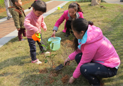 植樹節(jié)一般種什么樹？植樹節(jié)種什么樹比較好？