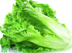 春天能種生菜嗎？生菜春天可以種嗎？