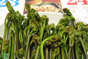 蕨菜為什么苦？蕨菜苦是怎么回事？