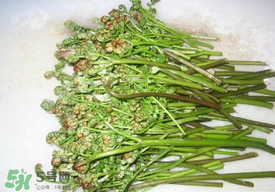 蕨菜怎么去苦味？蕨菜怎么做不苦？