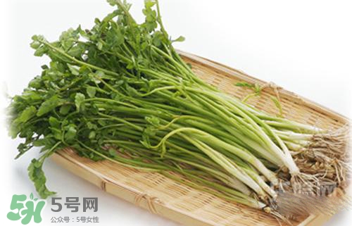 吃野芹菜會(huì)中毒嗎？吃野芹菜中毒了怎么辦？