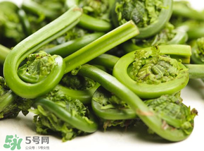 蕨菜怎么洗？蕨菜怎么清洗才干凈？