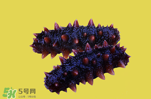 春天能吃海參嗎？春天吃海參效果好嗎？