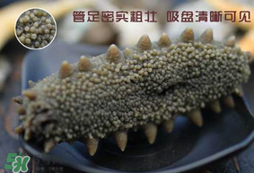 春天能吃海參嗎？春天吃海參效果好嗎？
