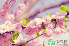 春天容易得水痘嗎？春天是水痘的高發(fā)季節(jié)嗎？