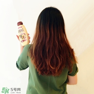 淳萃牛油果洗發(fā)水多少錢？淳萃牛油果洗發(fā)水價(jià)格