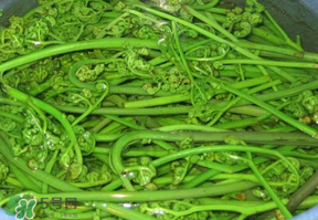 蕨菜怎么洗？蕨菜怎么清洗才干凈？
