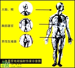 防輻射服什么時候開始穿？防輻射服真的有用嗎？