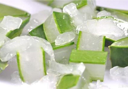 出水痘能用蘆薈膠嗎？水痘破了能擦蘆薈膠嗎？