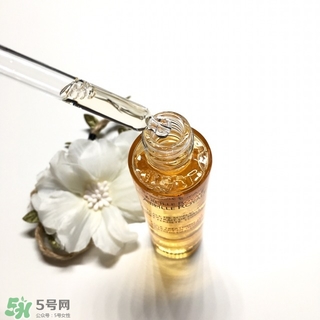 嬌蘭黃金蜜原蜜怎么用？嬌蘭黃金蜜原蜜使用方法